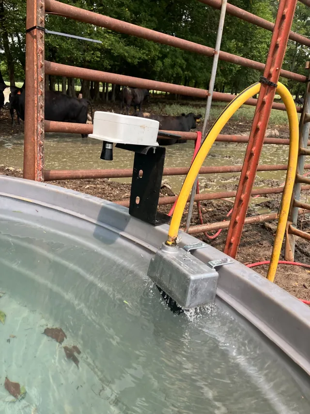 A Meterra ultrasonic sensor bracket-mounted over a stock tank in Arkansas, with cattle gathered behind the fence