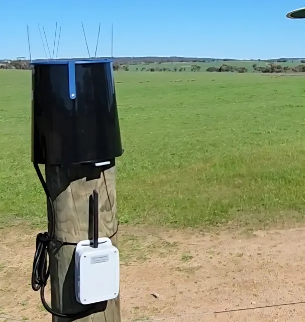 The Meterra rain gauge on a wooden post in an open paddock, bird spikes around the funnel rim and the communications box mounted on the post below it
