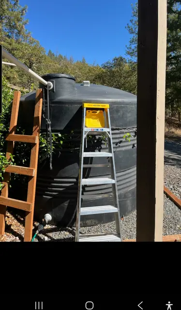 A black poly water tank among pine trees with the Tank Level Sensor on its dome, a wooden ladder and an aluminum stepladder leaning against it