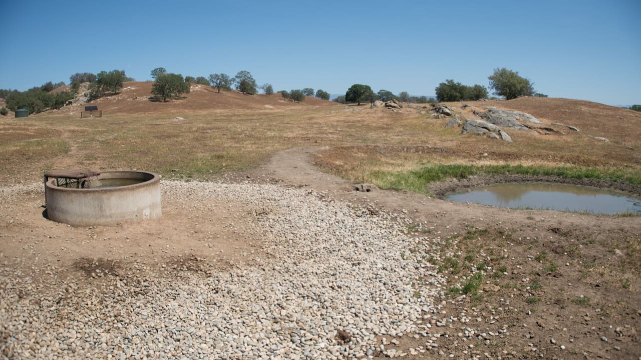 Old concrete well ring beside a shrinking waterhole on drought-browned rangeland