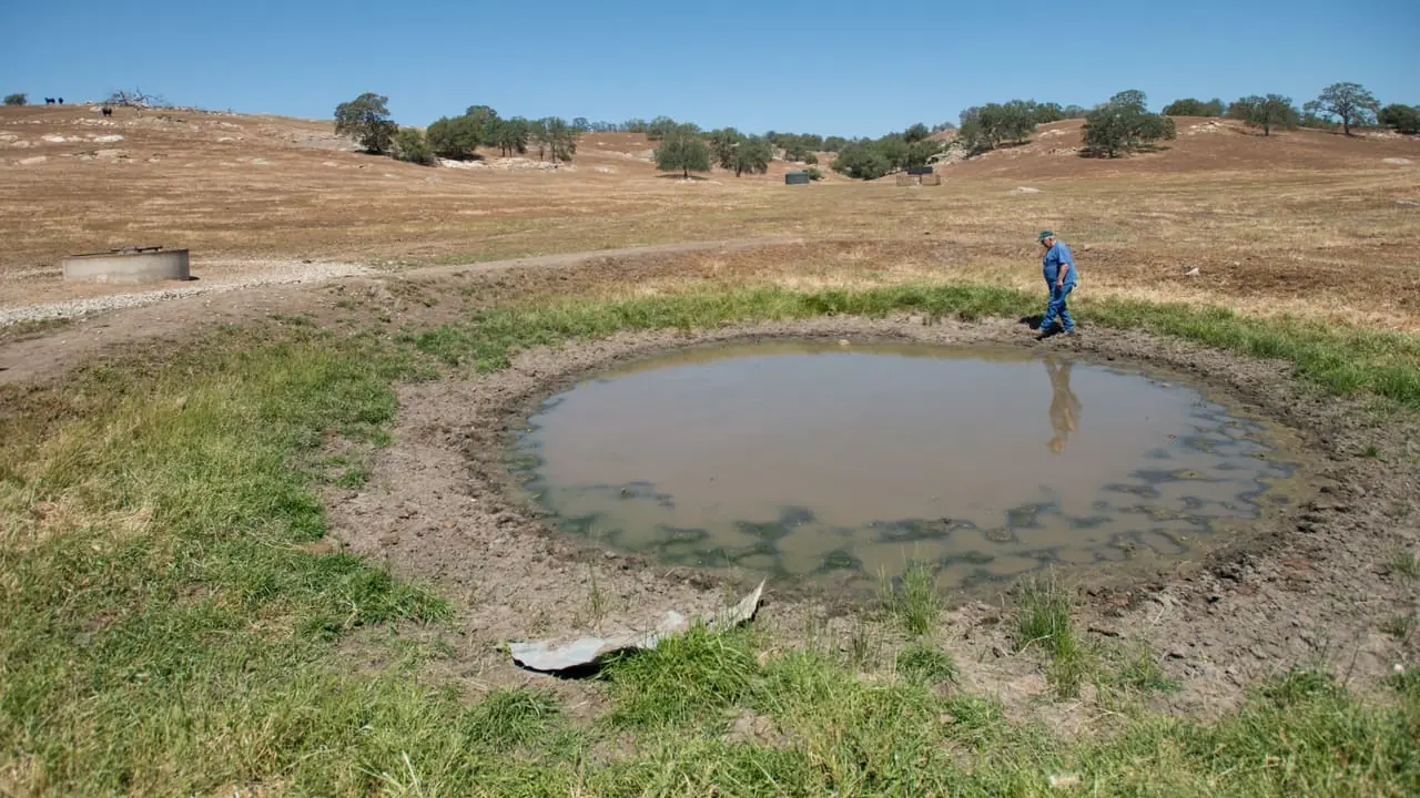 Dugout stock pond drawn down to a shallow muddy pool in drought-stricken rangeland