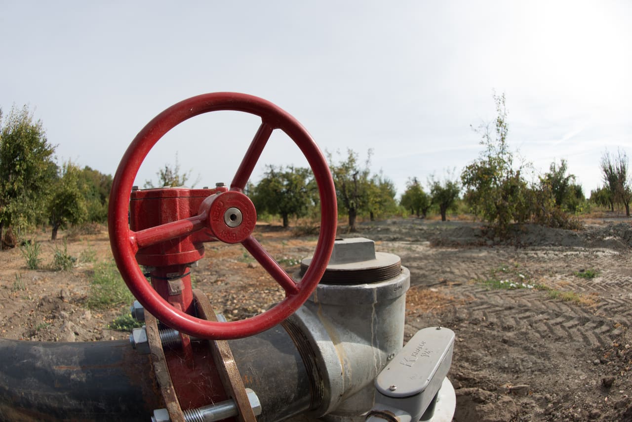 Red hand-wheel gate valve on an irrigation line in an orchard