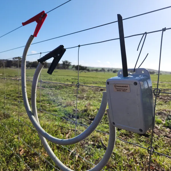 The fence monitor hanging on a wire fence with the red clip on the live wire