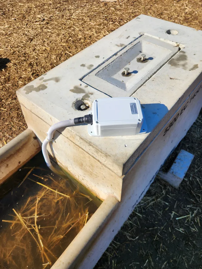 Trough monitor box screwed to the edge of a concrete trough with the sensor cable running into the water